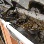 Affordable Gutter Cleaning Service Miami